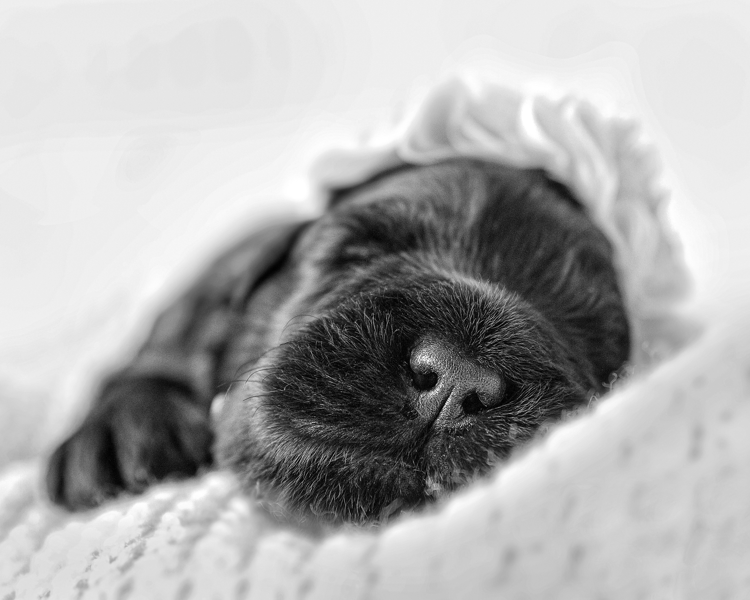 Slideshow sample 2